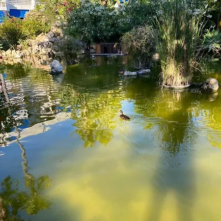 Maravilloso Apartamento En Urb. Costa Lago *
